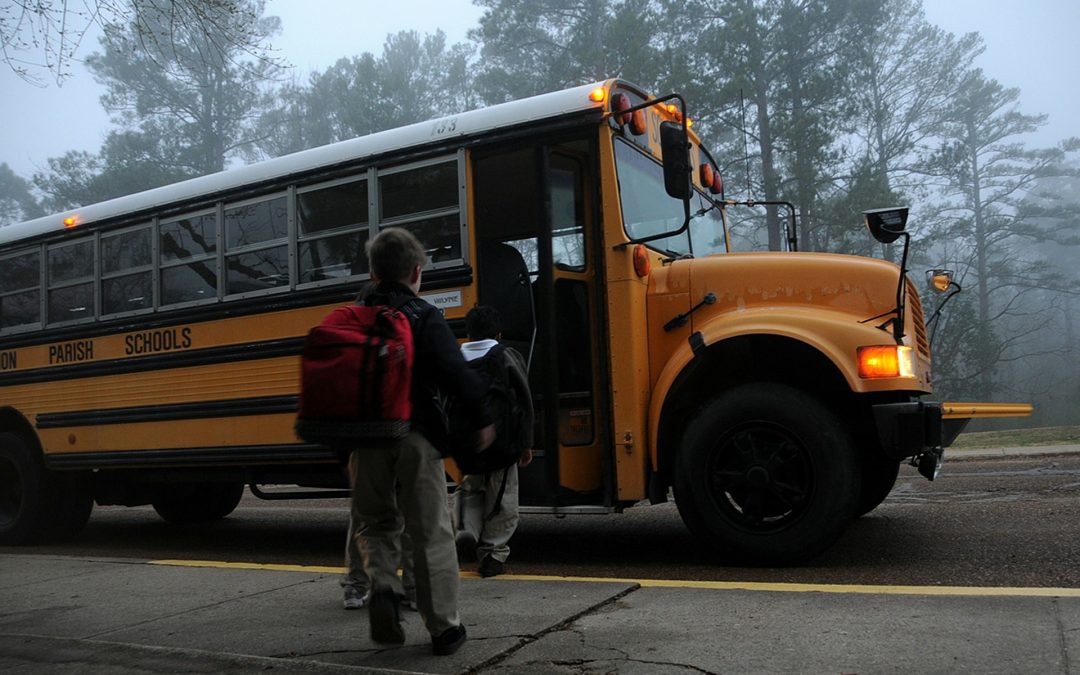 Safe Journeys to School Report Spurs Crosswalk Safety Action in St. Albert
