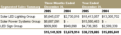 Sales by Segment, 2005 Annual Financial Results